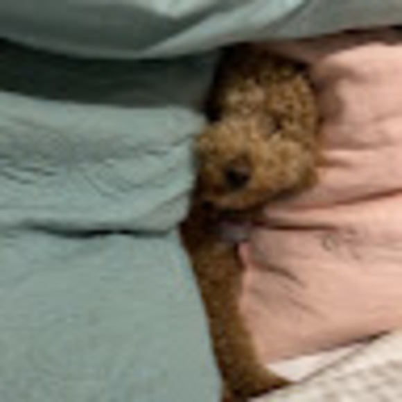 Meet your Posher, Sarah - Picture 1 of 1